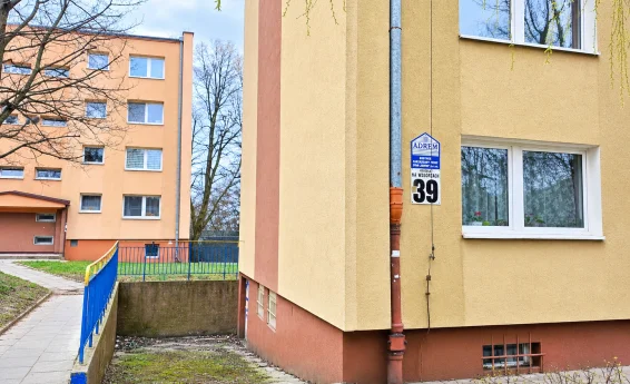 widok budynku z zewnątrz z wejściem do piwnicy